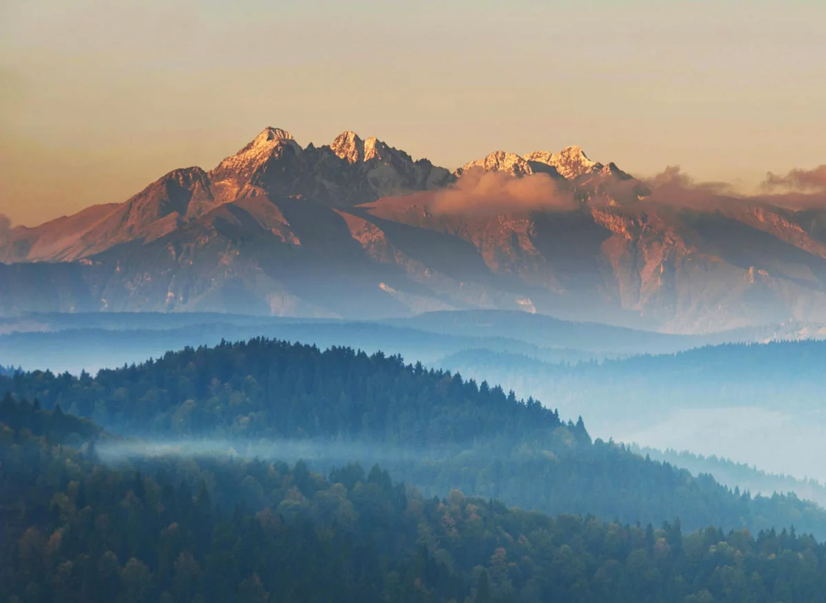 2024 najlepszym okresem aby  robić biznes