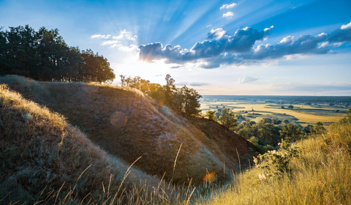 Jak wybrać technologię budowy domu: szkielet vs murowany — porównanie kosztów, czasu realizacji i trwałości. Poradnik przed decyzją inwestora.