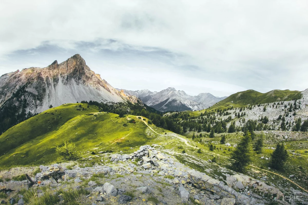  Disse faktaene om hvordan du kjøper kontormøbler kan overraske deg 