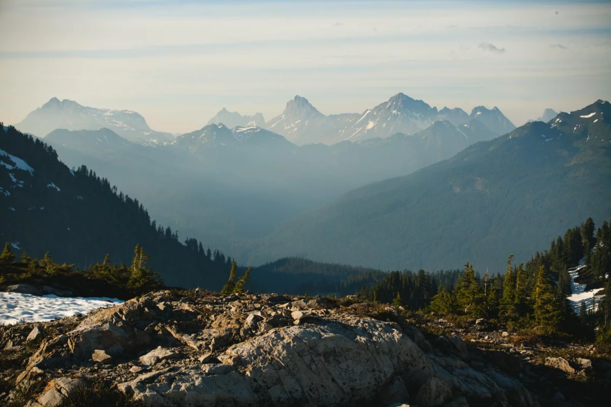 Czy Wiesz Jak zrozumieć prawo W 4 Dni?