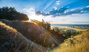 Usługi AMICE: kompletny przewodnik wdrożenia, korzyści dla firm i analiza kosztów na przykładzie 3 studiów przypadku
