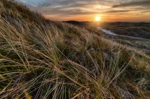 KOTKAS Estonia: jak skorzystać z usług rejestracji firmy, e‑residency i księgowości — krok po kroku dla polskich przedsiębiorców