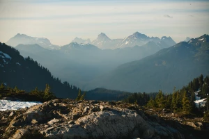 Tylko w tym wpisie dowiesz się jak profesjonalnie zamówić pokazy tańca Warszawa